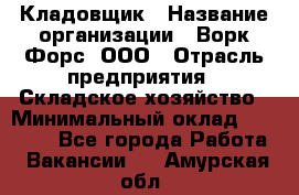 Кладовщик › Название организации ­ Ворк Форс, ООО › Отрасль предприятия ­ Складское хозяйство › Минимальный оклад ­ 27 000 - Все города Работа » Вакансии   . Амурская обл.